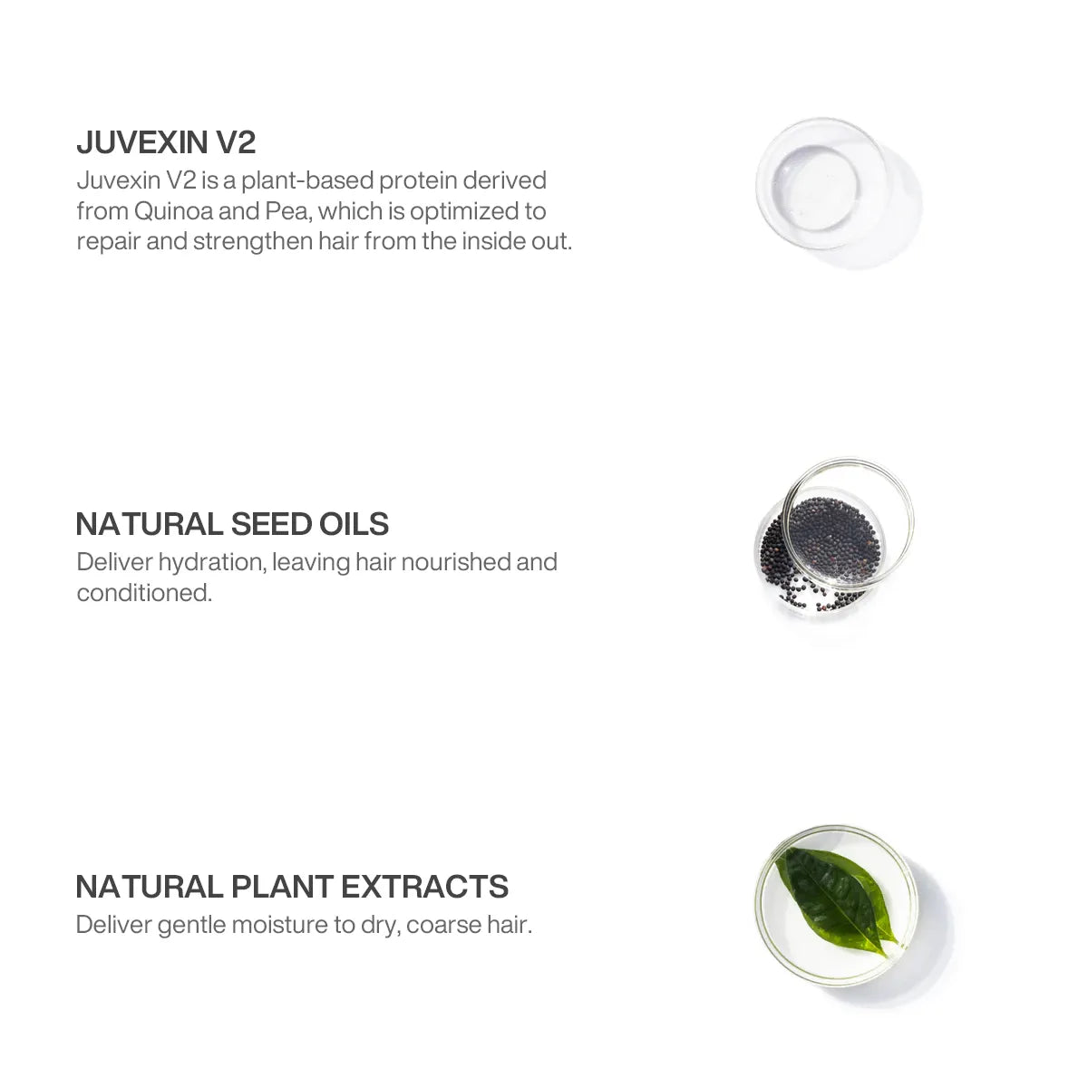 Ingredients in GK Hair's Balancing Conditioner