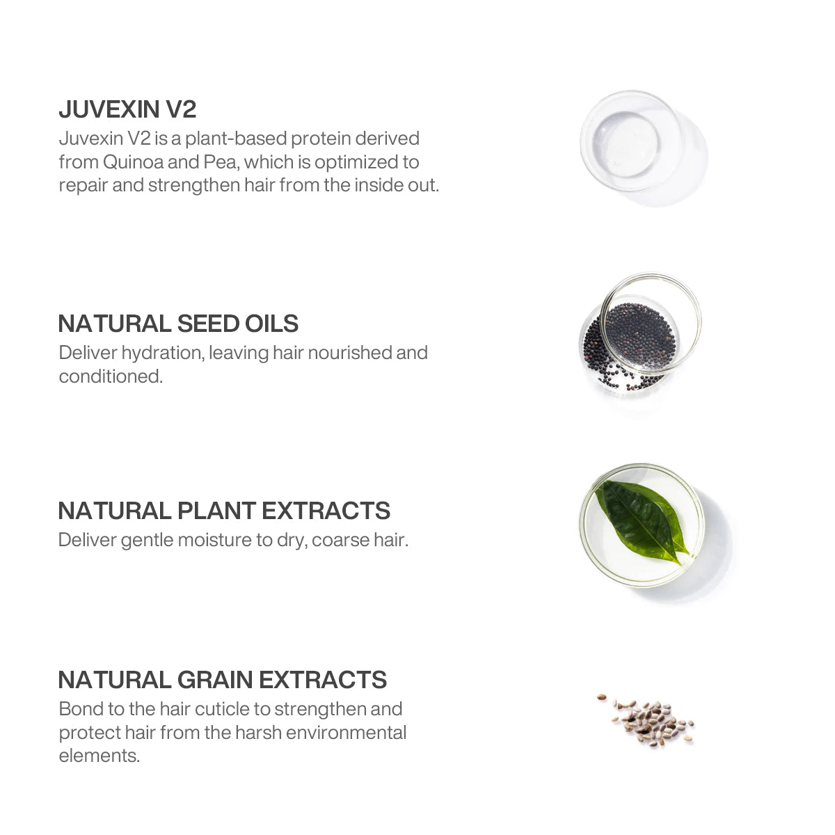 Ingredients in GK Hair's Moisturizing Shampoo and Conditioner