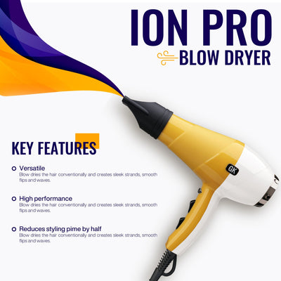 Ion Pro Blow Dryer